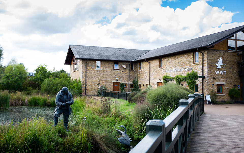 Wedding photography at London Wetland Centre, London